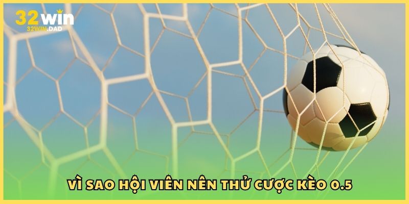 Vì sao hội viên nên thử cược kèo 0.5
