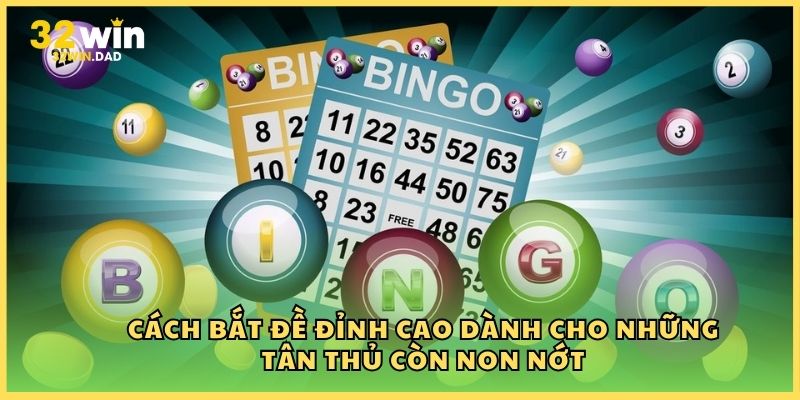 Cách bắt đề đỉnh cao dành cho những tân thủ còn non nớt