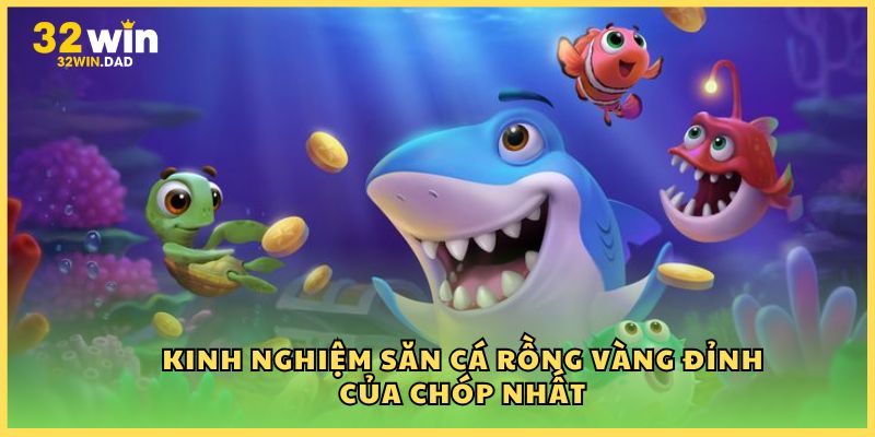 Kinh nghiệm săn cá Rồng Vàng đỉnh của chóp nhất